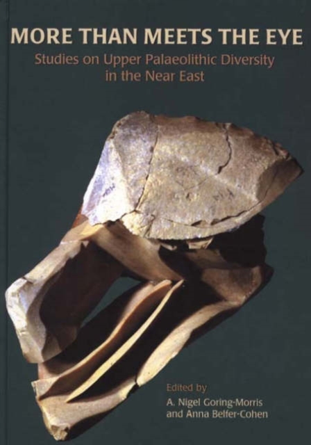 More than Meets the Eye : Studies on Upper Palaeolithic Diversity in the Near East, Hardback Book