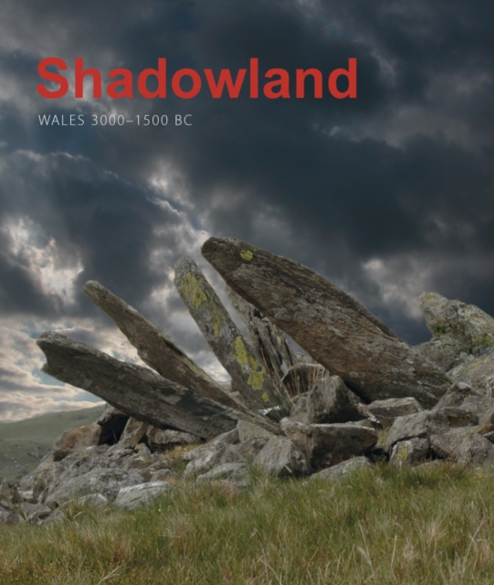 Shadowland : Wales 3000-1500 BC, PDF eBook