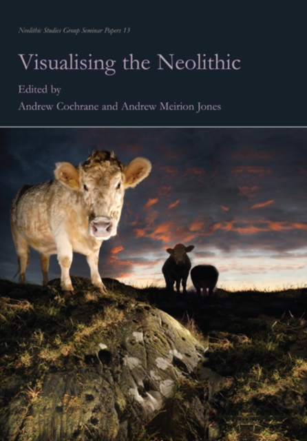 Visualising the Neolithic, EPUB eBook