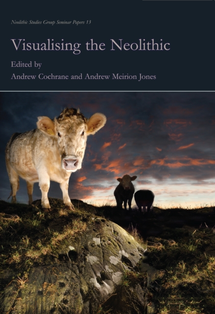 Visualising the Neolithic, PDF eBook