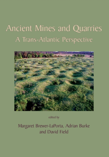 Ancient Mines and Quarries : A Trans-Atlantic Perspective, PDF eBook