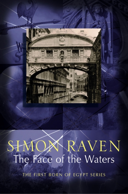 The Face of the Waters, Paperback Book