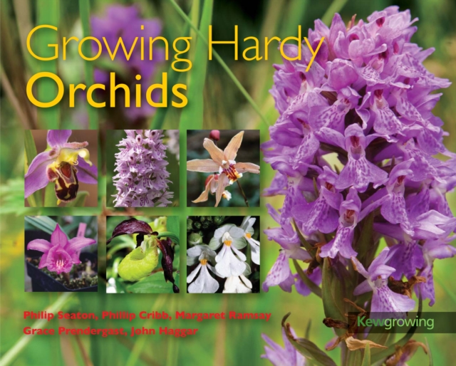 Growing Hardy Orchids, Paperback / softback Book