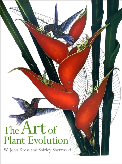 Art of Plant Evolution, The, Paperback / softback Book