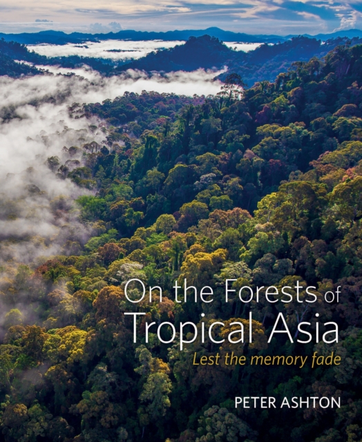 On the Forests of Tropical Asia : Lest the memory fade, Hardback Book