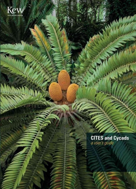 CITES and Cycads : A User's Guide, Paperback / softback Book