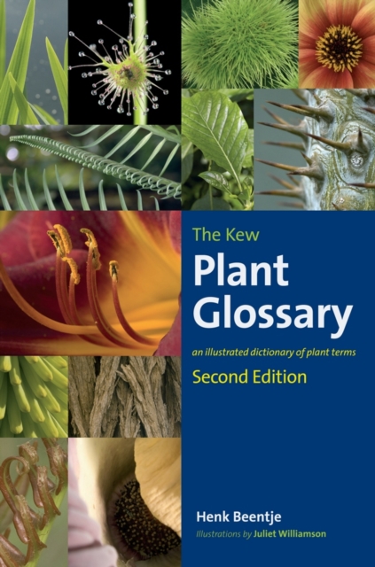 Kew Plant Glossary, The : Second Edition, Paperback / softback Book