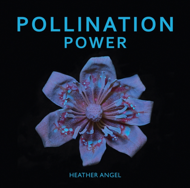 Pollination Power, Hardback Book