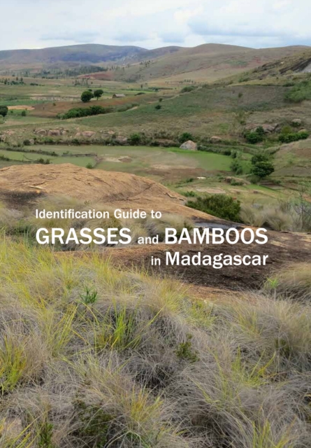 Identification Guide to Grasses and Bamboos in Madagascar, Paperback / softback Book
