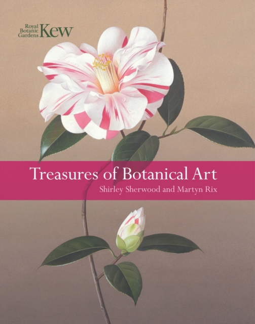 Treasures of Botanical Art, Paperback / softback Book
