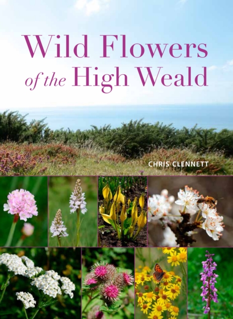 Wild Flowers of the High Weald, Paperback / softback Book