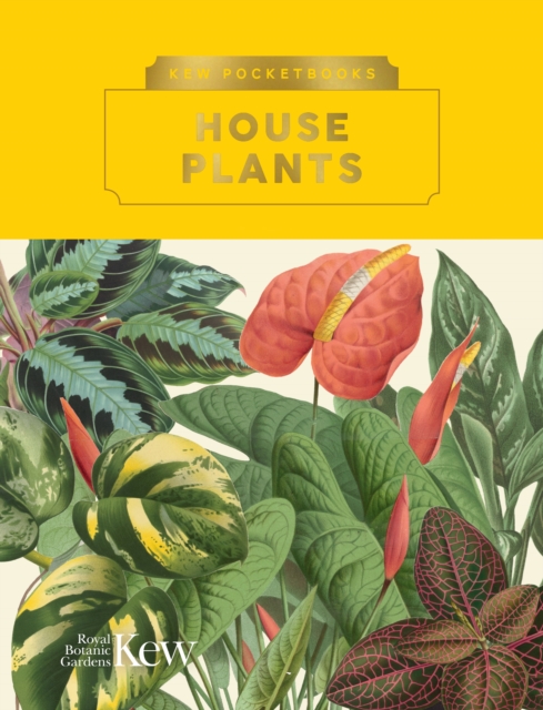 Kew Pocketbooks: House Plants, Hardback Book