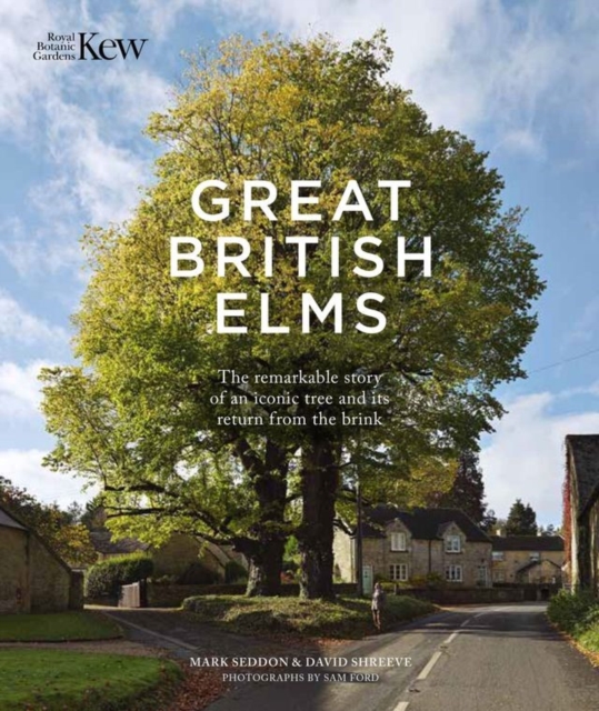 Great British Elms : The remarkable story of an iconic tree and it’s return from the brink, Hardback Book