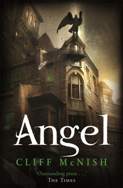 Angel, Paperback Book