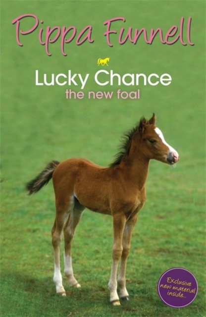 Tilly's Pony Tails: Lucky Chance the New Foal : Book 5, Paperback Book