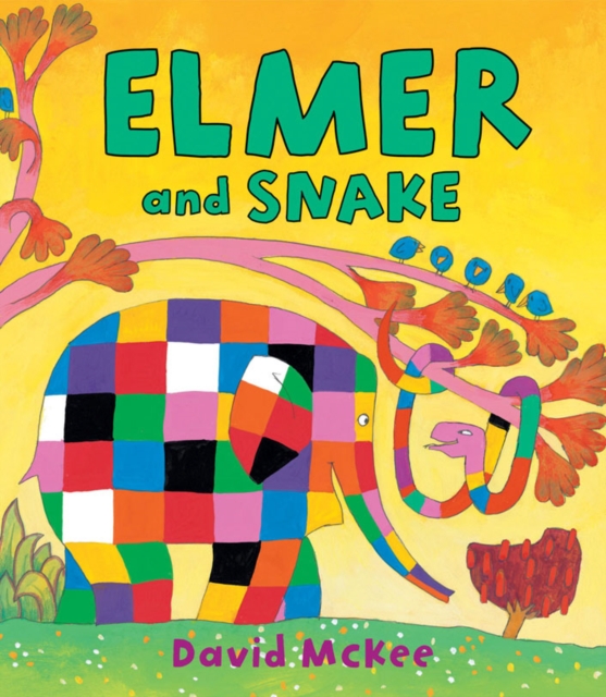 Elmer and Snake, Paperback / softback Book
