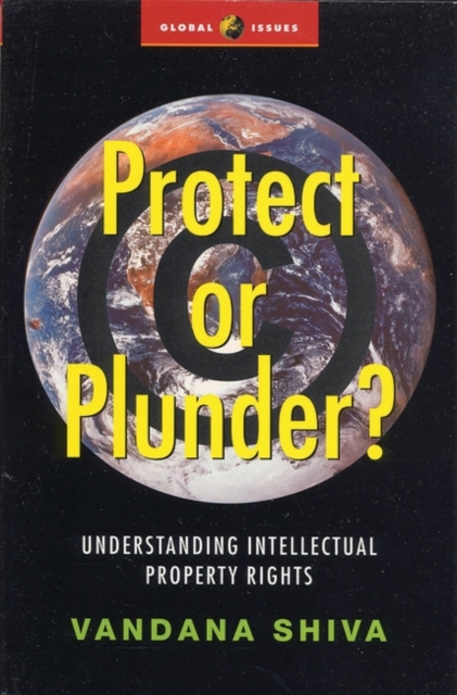 Protect or Plunder? : Understanding Intellectual Property Rights, Paperback / softback Book