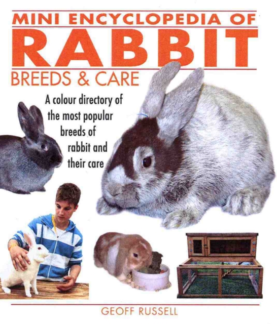 Mini Encyclopedia of Rabbit Breeds and Care, Paperback / softback Book