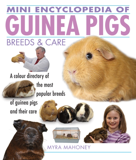 Mini Encyclopedia of Guinea Pigs Breeds and Care, Paperback / softback Book