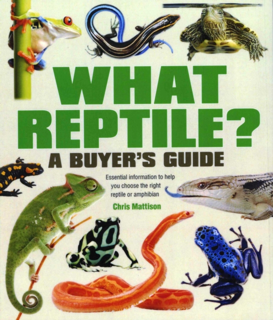 What Reptile? A Buyer's Guide : Essential Information to Help You Choose the Right Reptile or Amphibian, Paperback / softback Book