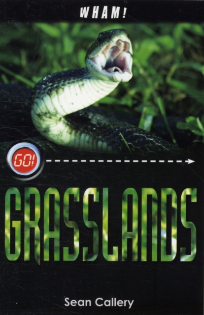 Wham! Grasslands, Paperback / softback Book