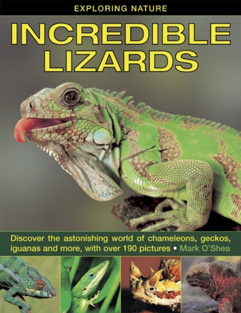 Exploring Nature: Incredible Lizards : Discover the Astonishing World of Chameleons, Geckos, Iguanas and More, with Over 190 Pictures, Hardback Book