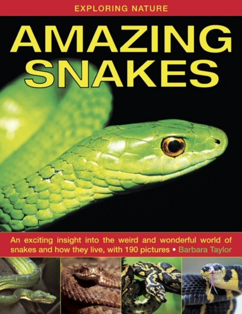Exploring Nature: Amazing Snakes : an Exciting Insight into the Weird and Wonderful World of Snakes and How They Live, with 190 Pictures, Hardback Book