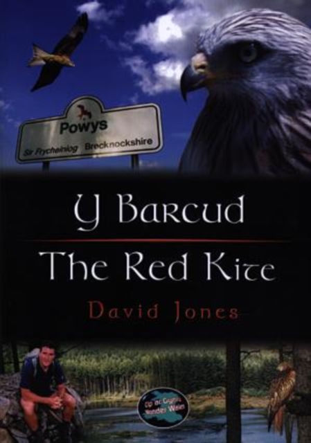Cyfres Cip ar Gymru / Wonder Wales: Barcud, Y / Red Kite, The, Paperback / softback Book