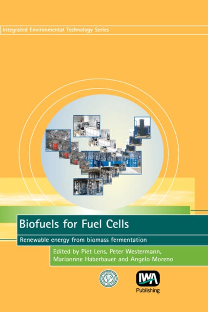 Biofuels for Fuel Cells, Hardback Book