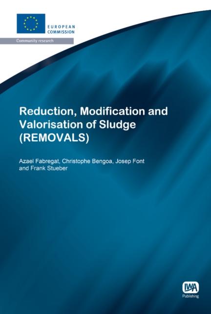 Reduction, Modification and Valorisation of Sludge, Paperback / softback Book