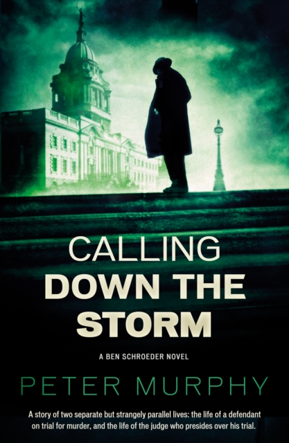 Calling Down the Storm, Paperback / softback Book