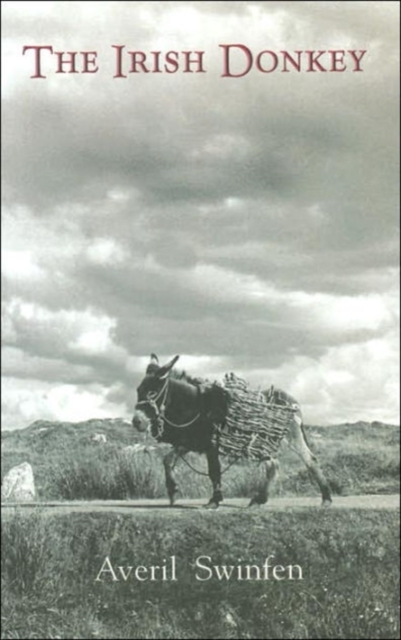 The Irish Donkey, Paperback / softback Book