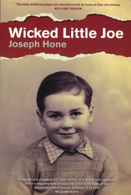 Wicked Little Joe, EPUB eBook