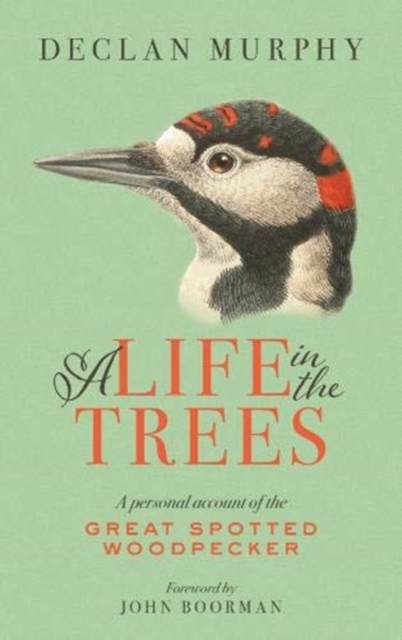 A Life In The Trees : A Personal Account of the Great Spotted Woodpecker, Paperback / softback Book