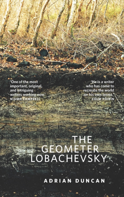 The Geometer Lobachevsky, EPUB eBook