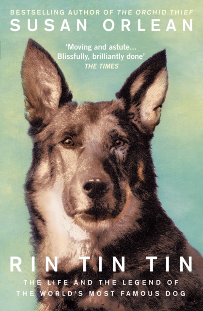 Rin Tin Tin : The Life and Legend of the World's Most Famous Dog, Paperback / softback Book