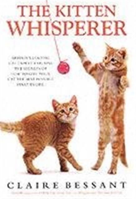 The Kitten Whisperer, Hardback Book