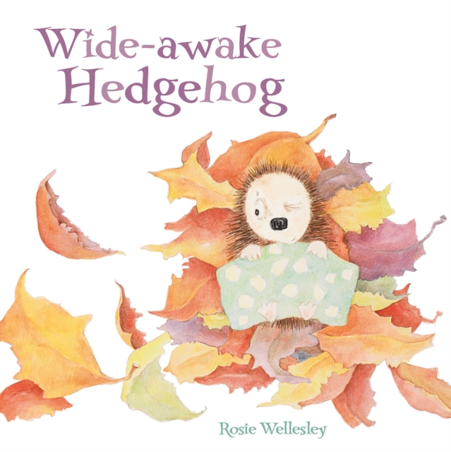 Wide-awake Hedgehog, EPUB eBook