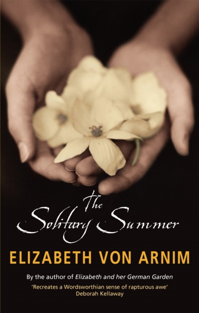 The Solitary Summer, Paperback / softback Book