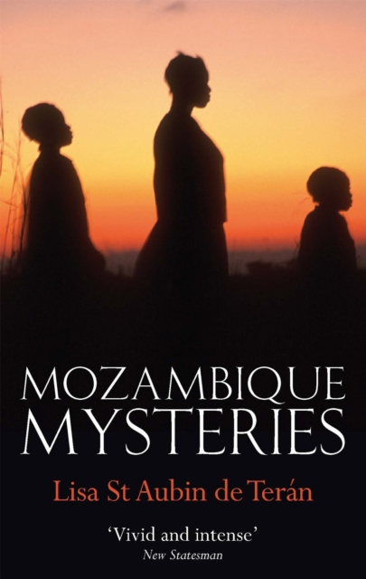 Mozambique Mysteries, Paperback / softback Book