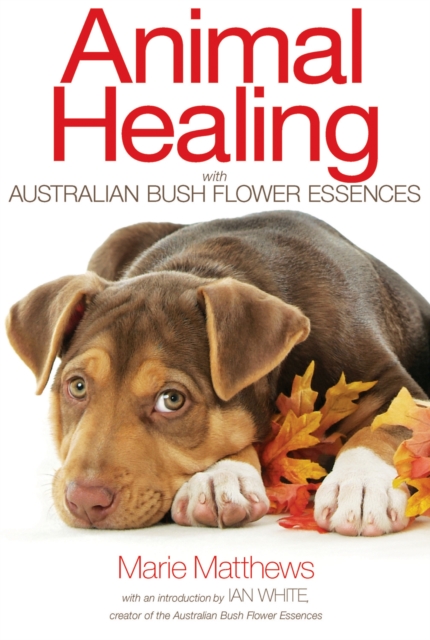 Animal Healing with Australian Bush Flower Essences, Paperback / softback Book