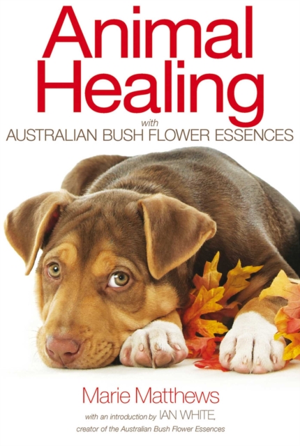 Animal Healing with Australian Bush Flower Essences, EPUB eBook