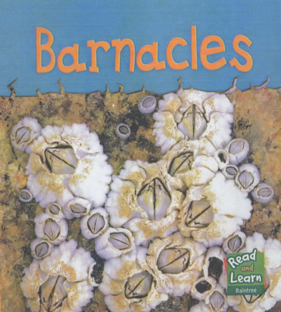 Read and Learn: Sea Life - Barnacles, Paperback Book