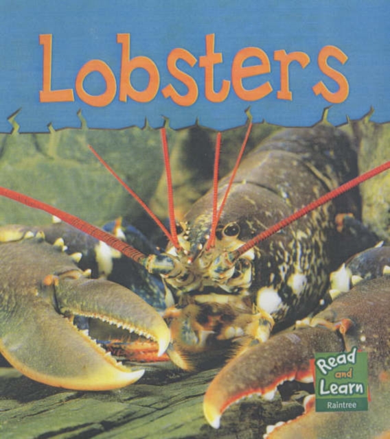 Read and Learn: Sea Life - Lobsters, Paperback Book
