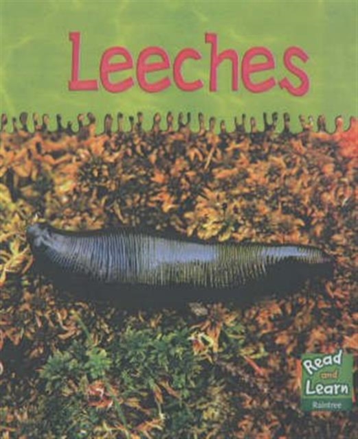 Leeches, Hardback Book