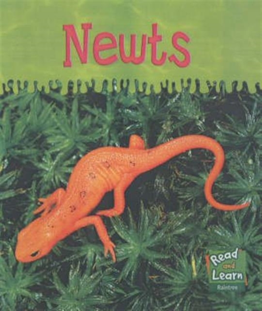 Newts, Hardback Book