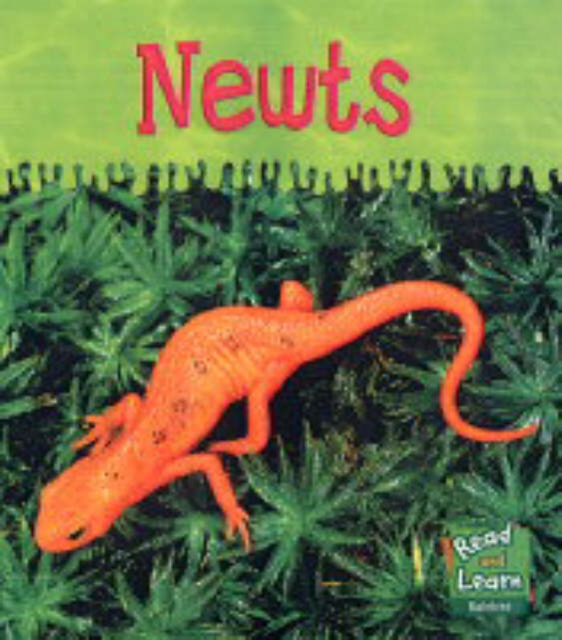 Read and Learn: Ooey-Gooey Animals - Newts, Paperback Book
