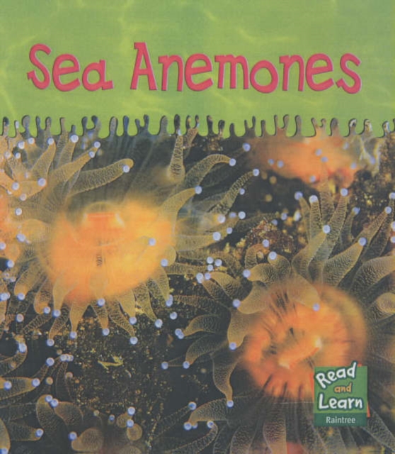 Read and Learn: Ooey-Gooey Animals - Sea Anemones, Paperback Book