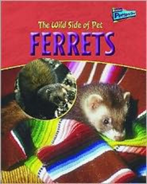 Raintree Perspectives: the Wild Side of Pets: Ferrets Hardback, Hardback Book