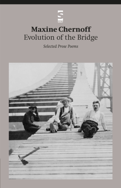 Evolution of the Bridge : Selected Prose Poems, Paperback / softback Book